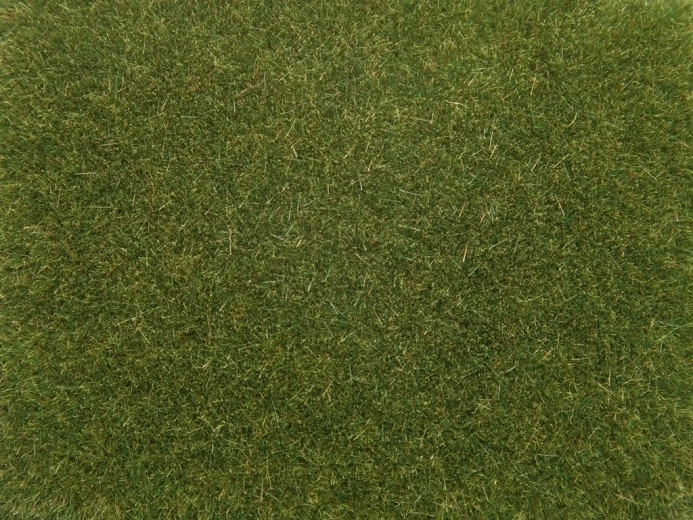 NOCH statička trava svijetlo zelena 4 mm