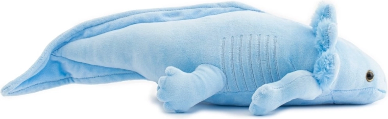 Realistični detalji axolotla