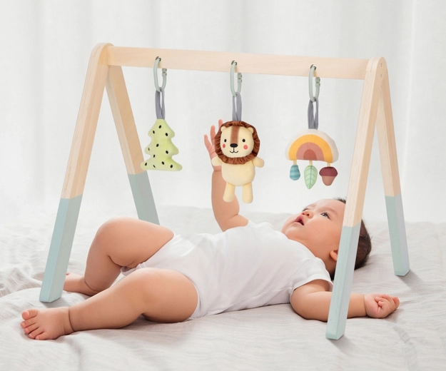Play and development from birth