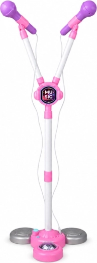 Two microphones for performing together