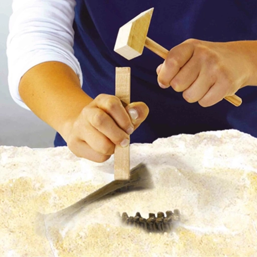 Iskopavanja kao pravi paleontolog