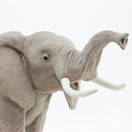 Hand-painted and professionally sculpted