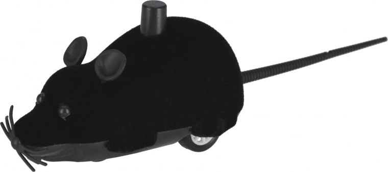 Zabava u različitim bojama