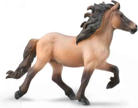 Collecta islandski pastuh bay dun