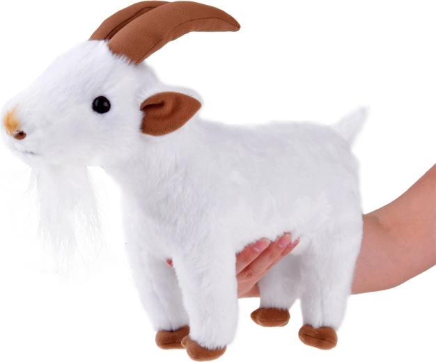 Lagana i taman za dječju ruku