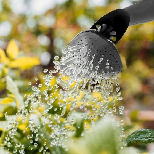 Nježno zalijevanje s odvojivom ružicom