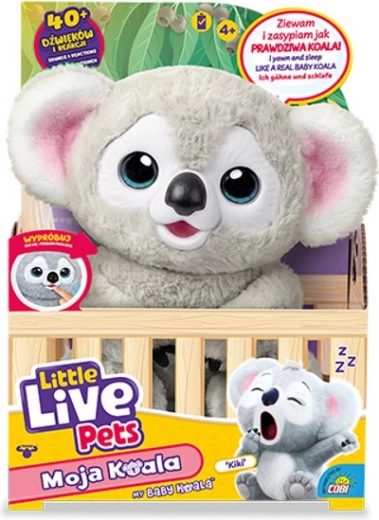 Little Live Pets moja beba koala Kiki