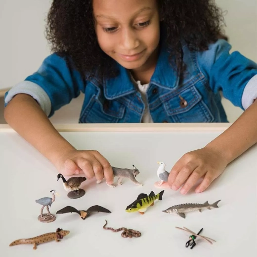 Supports creativity and learning through play