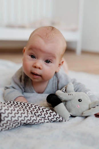 Zvečka za razvoj osjetila