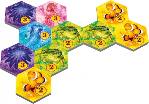 Prekrasne ilustracije morske faune