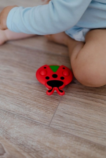 Vrti, stišći, istražuj