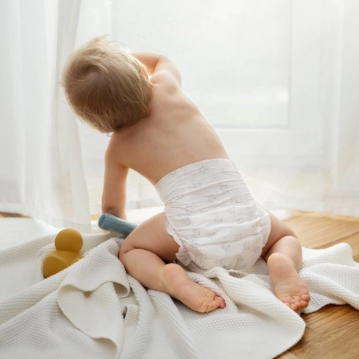 Do 12 sati suhoće i mira