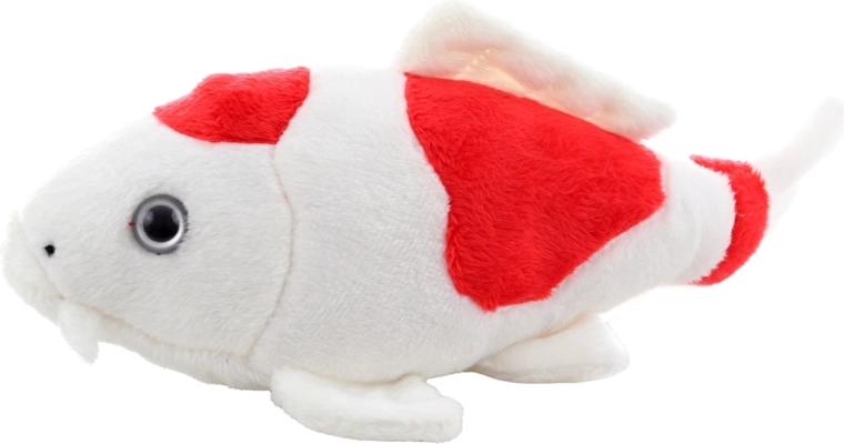 Realistični detalji koi šarana