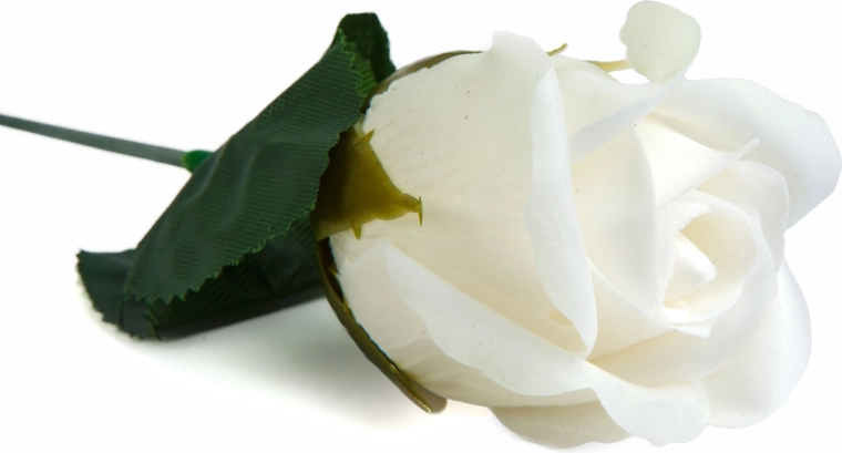 Realistic rose appearance