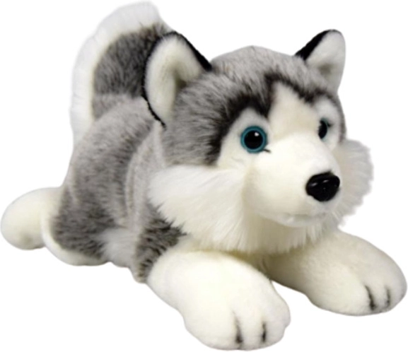 Plush husky dog Dubi 27 cm