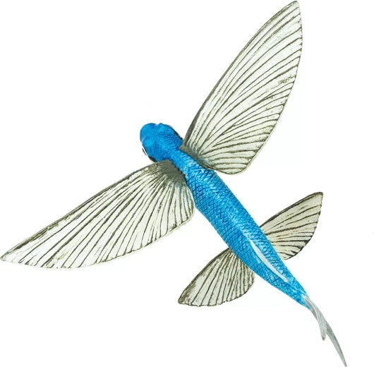 Typical fin “wing”