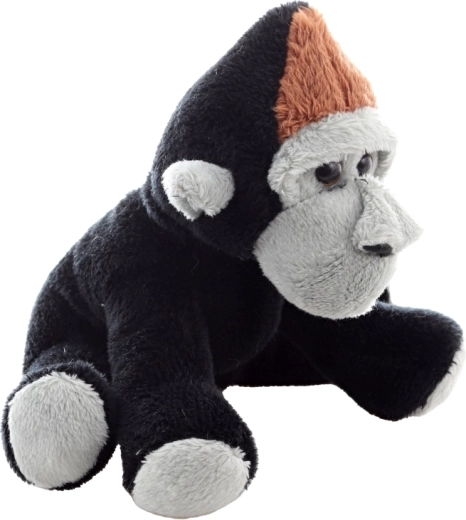 Slatki detalji i prijateljski izraz