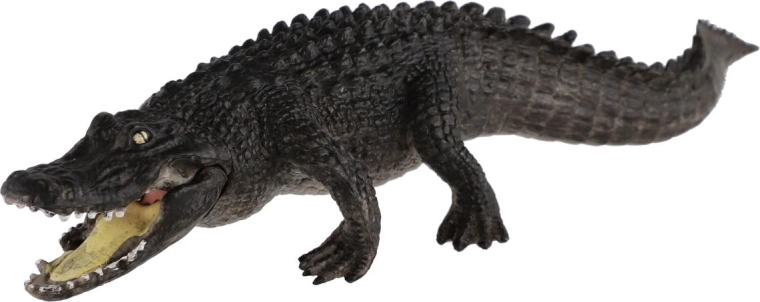 Realistic design