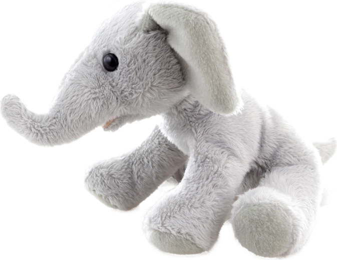 Kompaktna veličina 15 cm