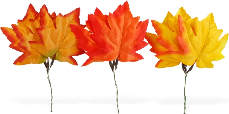 Warm autumn shades