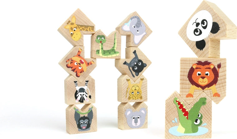 A game and memory game in one