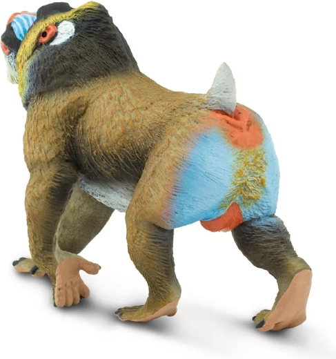 Ideal for play, learning, and collecting