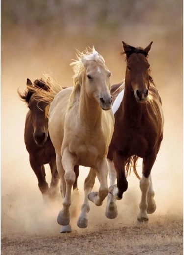 Diamond painting – horses at full gallop 30 × 40 cm - 1 piece