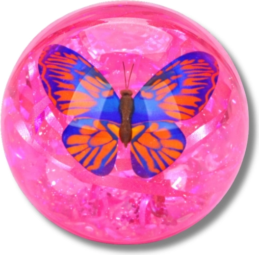 Sjajne konfete i leptir iznutra