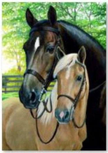 Diamond painting (diamond painting) horses 30 × 40 cm