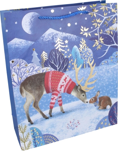 Enchanting winter design