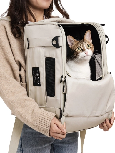 Backpack style for hands-free travel