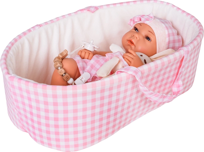 Carrier/basket for carrying