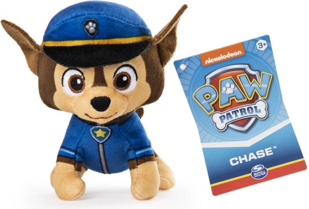 Autentična uniforma s bedžom