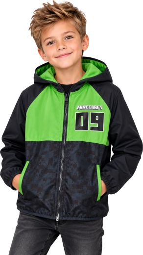 Licensed Minecraft design