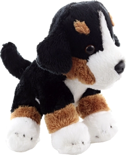 Lagani i kompaktni pratitelj