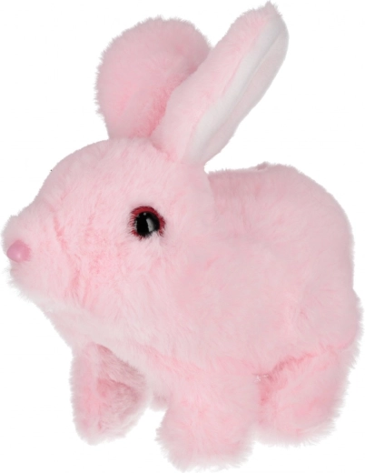 Mekani pliš koji poziva na maženje