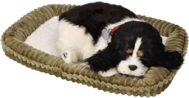 Udomite me Disajući plišani pas Koker španijel