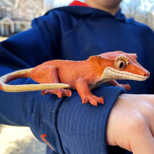 1:1 scale – like a real gecko