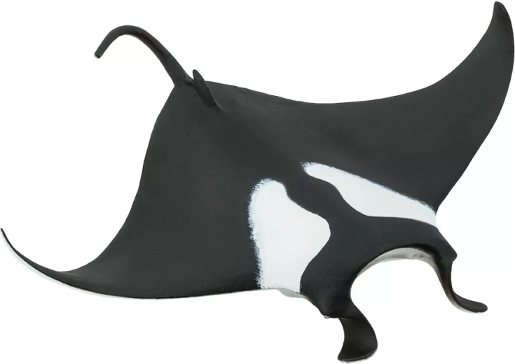 Safari Ltd. manta divovska (figurka) - 1 komad