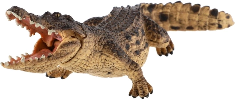 Dynamic pose with an open mouth