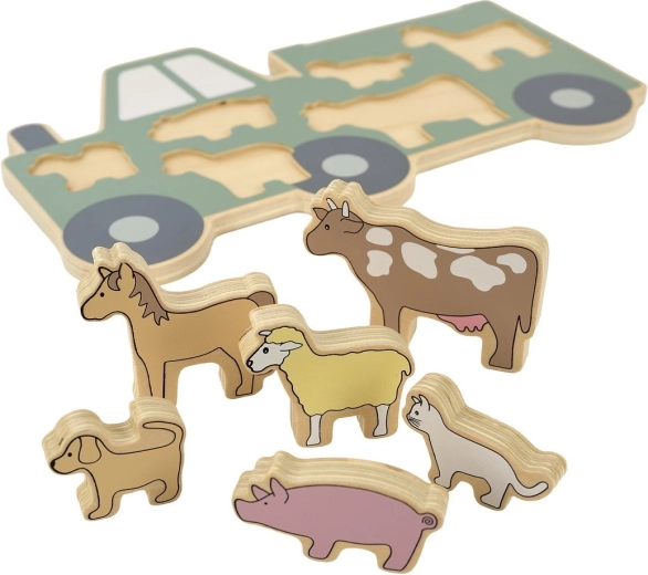 Supports motor skills and hand–eye coordination
