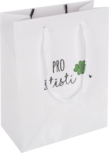 Paper gift bag “Good Luck” 18 × 10 × 23 cm