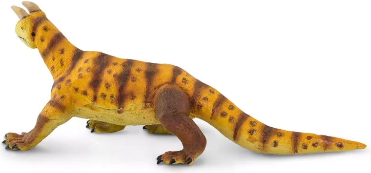 Ideal for play, learning, and collecting