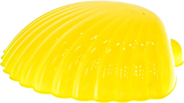 Realistični otisci s kalupom školjke