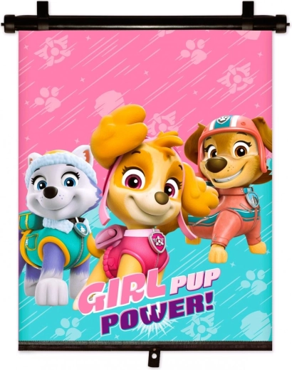 Sjenilo za automobil Paw Patrol
