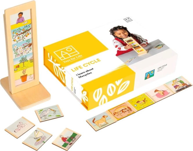 Toys for Life Life Cycles – educational set with cards