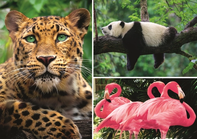 Puzzle životinje – kolaž 1000 dijelova EKO