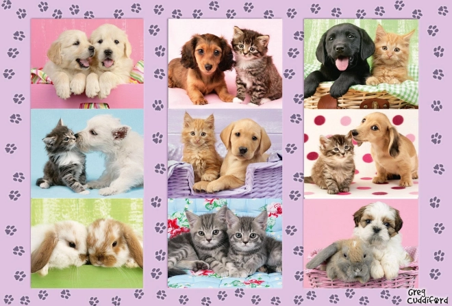 Schmidt puzzle Moji životinjski prijatelji 100 dijelova