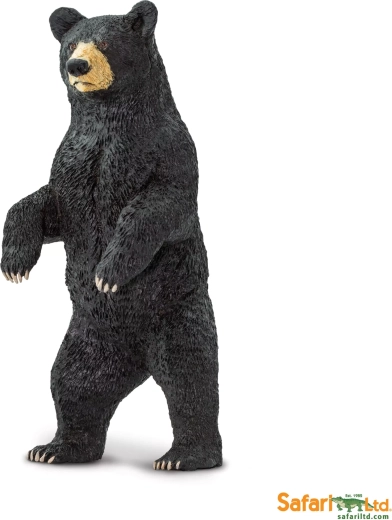 Safari Ltd. American black bear - 1 piece