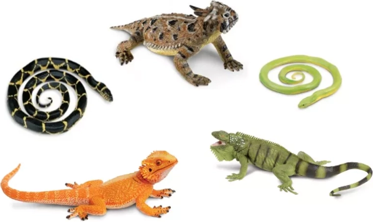 Safari Ltd. zmije i gušteri – set od 5 figurica